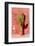 Cactus in Santa Catalina Monastery in Arequipa, Peru-Matyas Rehak-Framed Photographic Print