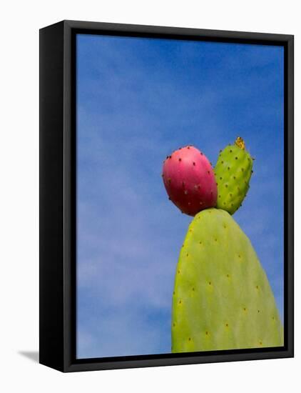 Cactus in the Desert, Peru-Keren Su-Framed Premier Image Canvas