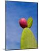 Cactus in the Desert, Peru-Keren Su-Mounted Photographic Print