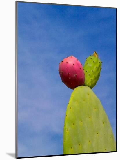 Cactus in the Desert, Peru-Keren Su-Mounted Photographic Print