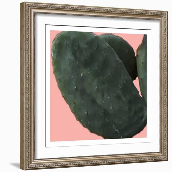 Cactus Land-Sheldon Lewis-Framed Art Print