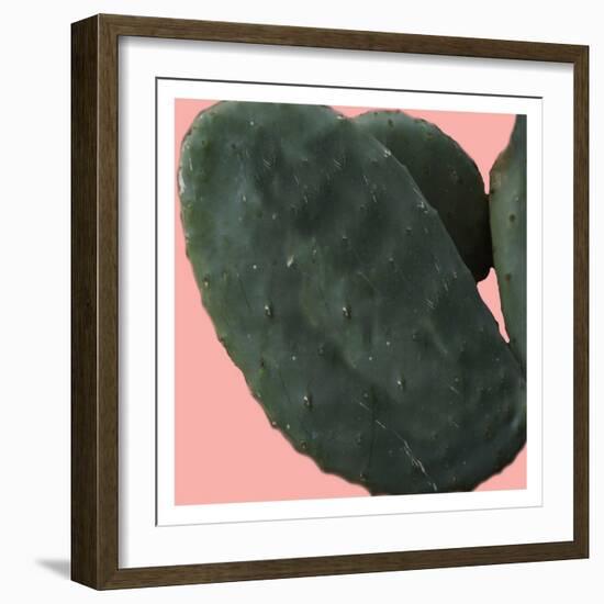 Cactus Land-Sheldon Lewis-Framed Art Print