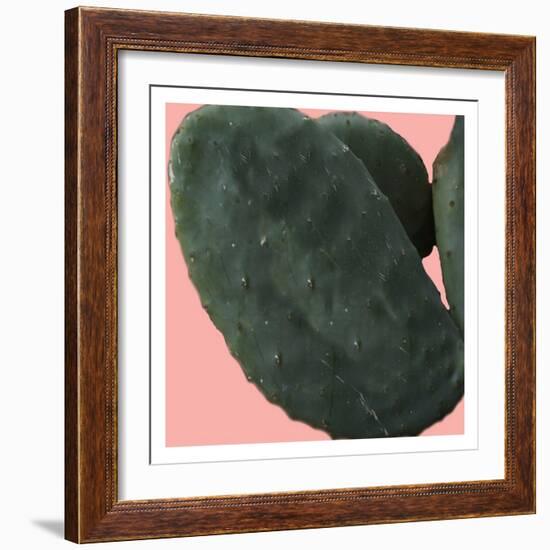 Cactus Land-Sheldon Lewis-Framed Art Print