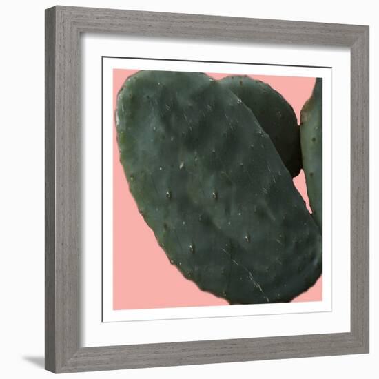 Cactus Land-Sheldon Lewis-Framed Premium Giclee Print