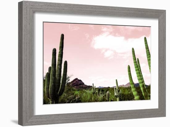 Cactus Landscape Under Pink Sky-Bill Carson Photography-Framed Art Print