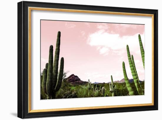 Cactus Landscape Under Pink Sky-Bill Carson Photography-Framed Art Print