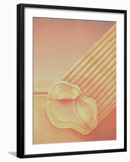 Cactus Log II-Alain Le Foll-Framed Limited Edition