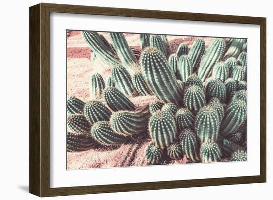 Cactus Muted Burst-Bill Carson Photography-Framed Art Print