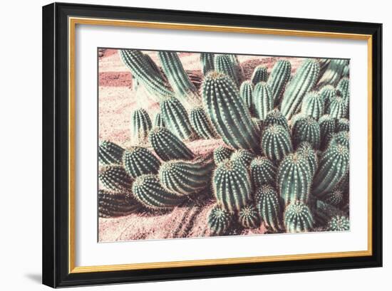 Cactus Muted Burst-Bill Carson Photography-Framed Art Print