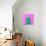 Cactus - Neon Pink Minimal Stillife-Indigo Photo Club-Photographic Print displayed on a wall