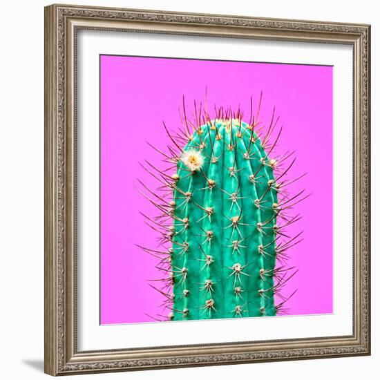 Cactus - Neon Pink Minimal Stillife-Indigo Photo Club-Framed Photographic Print