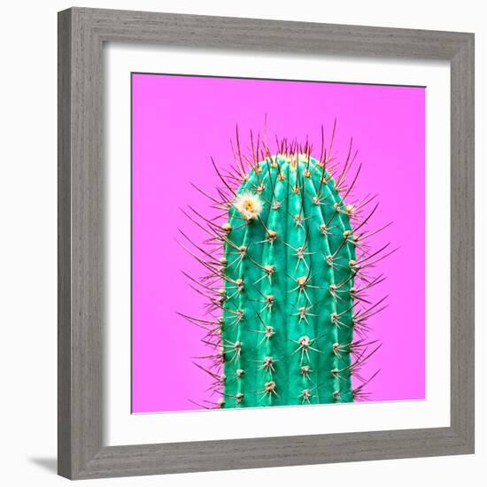 Cactus - Neon Pink Minimal Stillife-Indigo Photo Club-Framed Photographic Print