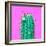 Cactus - Neon Pink Minimal Stillife-Indigo Photo Club-Framed Photographic Print