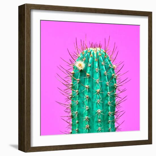 Cactus - Neon Pink Minimal Stillife-Indigo Photo Club-Framed Photographic Print