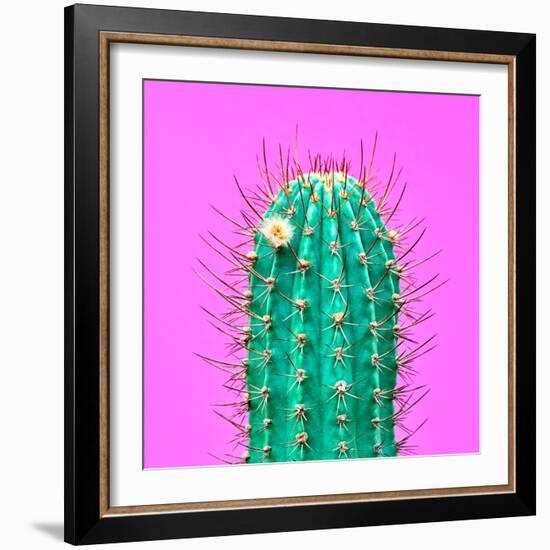 Cactus - Neon Pink Minimal Stillife-Indigo Photo Club-Framed Photographic Print