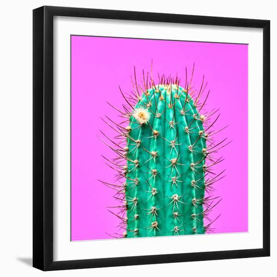 Cactus - Neon Pink Minimal Stillife-Indigo Photo Club-Framed Photographic Print