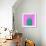 Cactus - Neon Pink Minimal Stillife-Indigo Photo Club-Framed Photographic Print displayed on a wall
