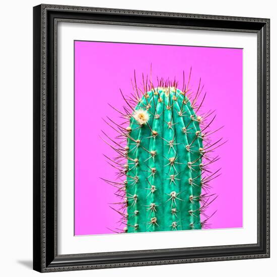 Cactus - Neon Pink Minimal Stillife-Indigo Photo Club-Framed Photographic Print