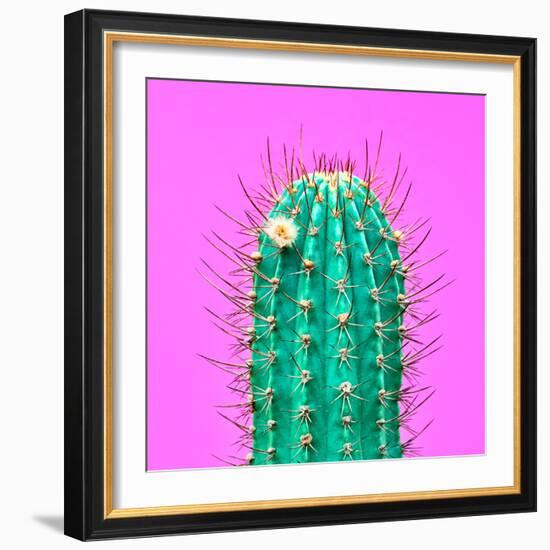 Cactus - Neon Pink Minimal Stillife-Indigo Photo Club-Framed Photographic Print