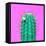 Cactus - Neon Pink Minimal Stillife-Indigo Photo Club-Framed Stretched Canvas