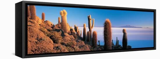 Cactus on a Hill, Salar De Uyuni, Potosi, Bolivia-null-Framed Premier Image Canvas
