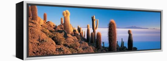 Cactus on a Hill, Salar De Uyuni, Potosi, Bolivia-null-Framed Premier Image Canvas