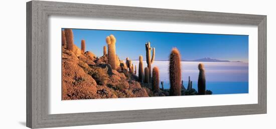 Cactus on a Hill, Salar De Uyuni, Potosi, Bolivia-null-Framed Photographic Print