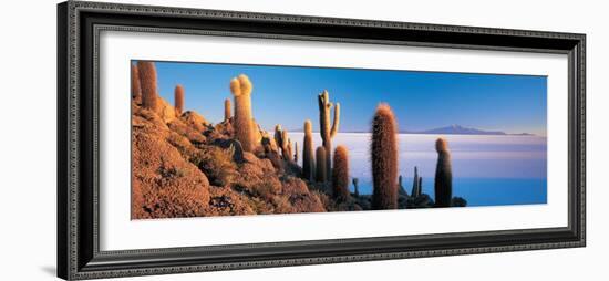 Cactus on a Hill, Salar De Uyuni, Potosi, Bolivia-null-Framed Photographic Print