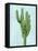 Cactus on Blue I-Mia Jensen-Framed Stretched Canvas