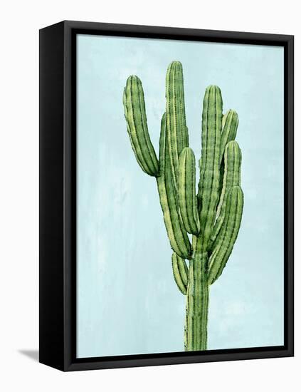 Cactus on Blue I-Mia Jensen-Framed Stretched Canvas