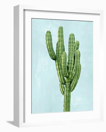 Cactus on Blue I-Mia Jensen-Framed Art Print