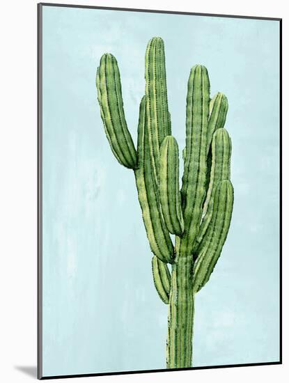 Cactus on Blue I-Mia Jensen-Mounted Art Print