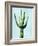 Cactus on Blue III-Mia Jensen-Framed Art Print