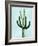 Cactus on Blue IV-Mia Jensen-Framed Art Print