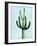 Cactus on Blue IV-Mia Jensen-Framed Art Print