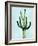 Cactus on Blue IV-Mia Jensen-Framed Art Print