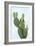 Cactus on Blue V-Mia Jensen-Framed Art Print