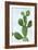 Cactus on Blue VI-Mia Jensen-Framed Art Print