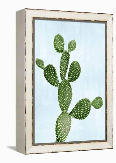 Cactus on Blue VII-Mia Jensen-Framed Stretched Canvas