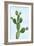 Cactus on Blue VII-Mia Jensen-Framed Art Print