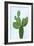 Cactus on Blue VIII-Mia Jensen-Framed Art Print