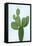 Cactus on Blue VIII-Mia Jensen-Framed Stretched Canvas