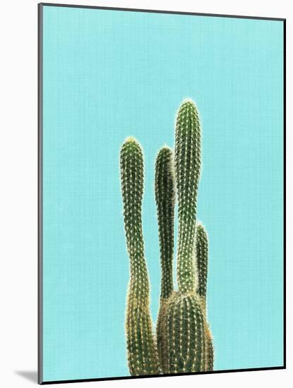 Cactus On Blue-LILA X LOLA-Mounted Art Print