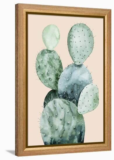 Cactus on Coral II-Grace Popp-Framed Stretched Canvas