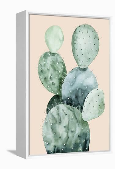 Cactus on Coral II-Grace Popp-Framed Stretched Canvas