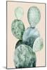 Cactus on Coral II-Grace Popp-Mounted Art Print