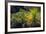 Cactus on Malpais Nature Trail, Valley of Fires Natural Recreation Area, Carrizozo, New Mexico, Usa-Russ Bishop-Framed Photographic Print