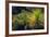 Cactus on Malpais Nature Trail, Valley of Fires Natural Recreation Area, Carrizozo, New Mexico, Usa-Russ Bishop-Framed Photographic Print