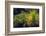 Cactus on Malpais Nature Trail, Valley of Fires Natural Recreation Area, Carrizozo, New Mexico, Usa-Russ Bishop-Framed Photographic Print