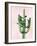 Cactus on Pink II-Mia Jensen-Framed Art Print